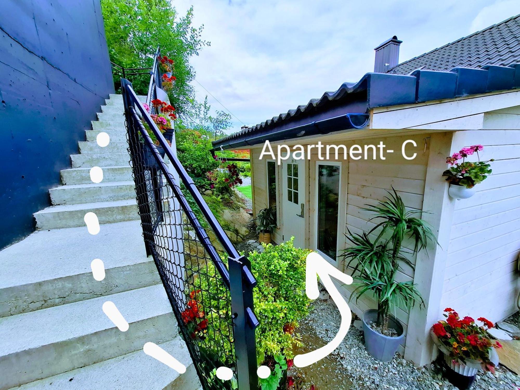 Bergen Sunrise Terrace Apartment Εξωτερικό φωτογραφία